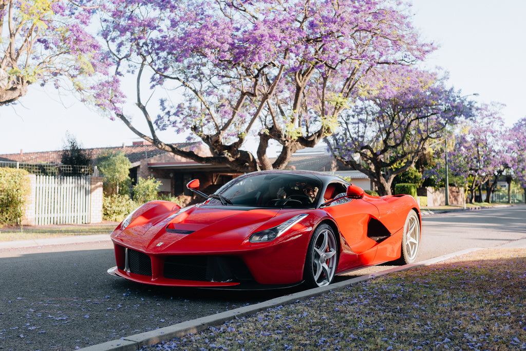Ferrari Laferrari Quarterzip
